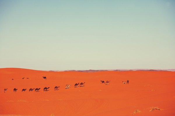 Quels sont les conseils pour une randonnée à travers le désert du Sahara?